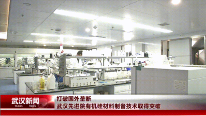 武漢先進(jìn)院突破有機硅材料制備技術(shù)，為電氣科技國產(chǎn)化注入新動能